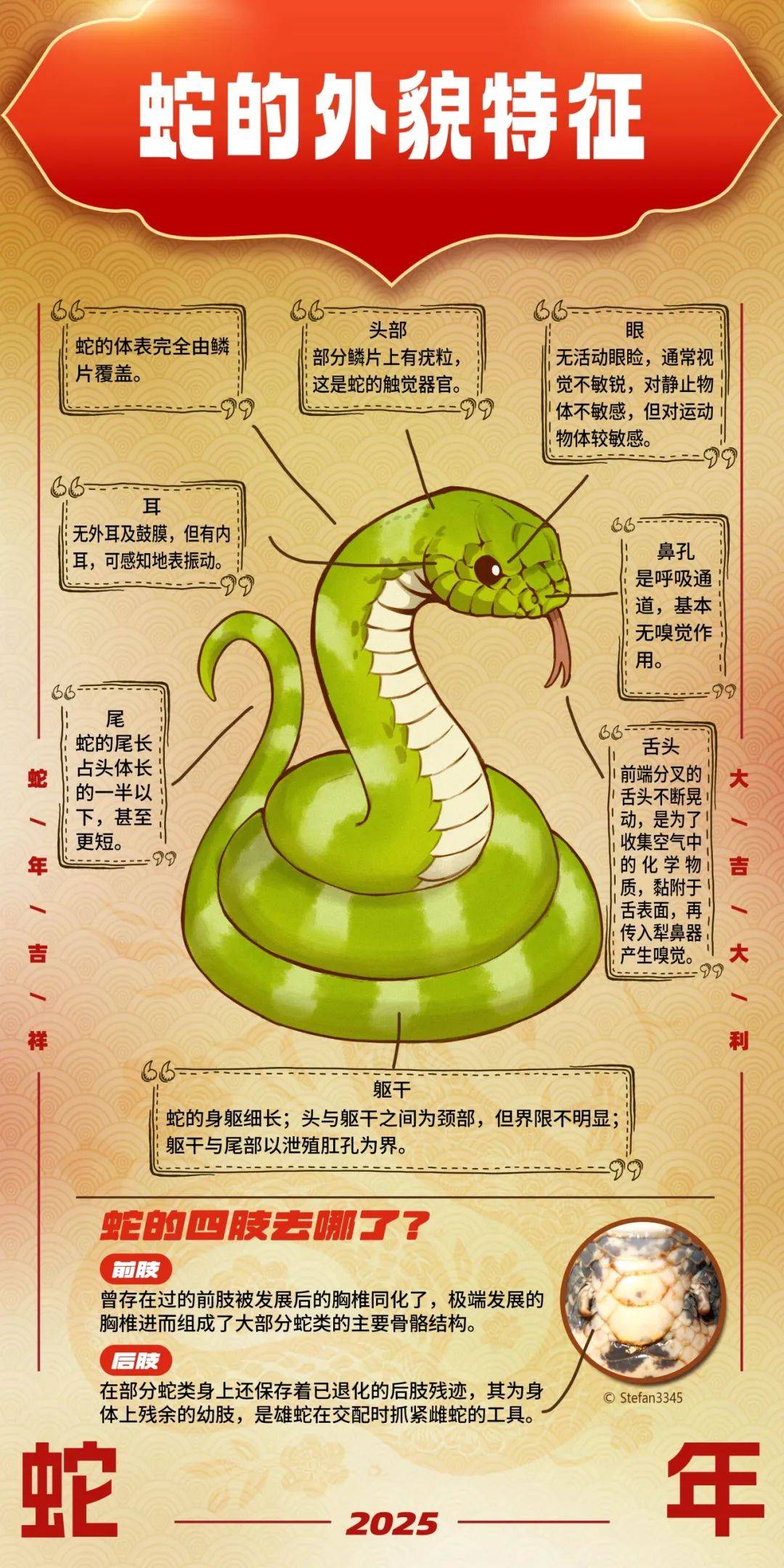 蛇院叫什么名字,蛇院叫什么名字来着