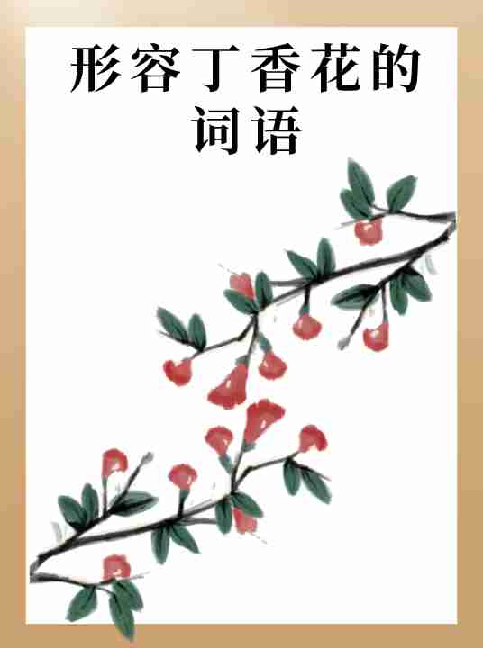 形容花的唯美成语有哪些,形容花的唯美成语有哪些四个字