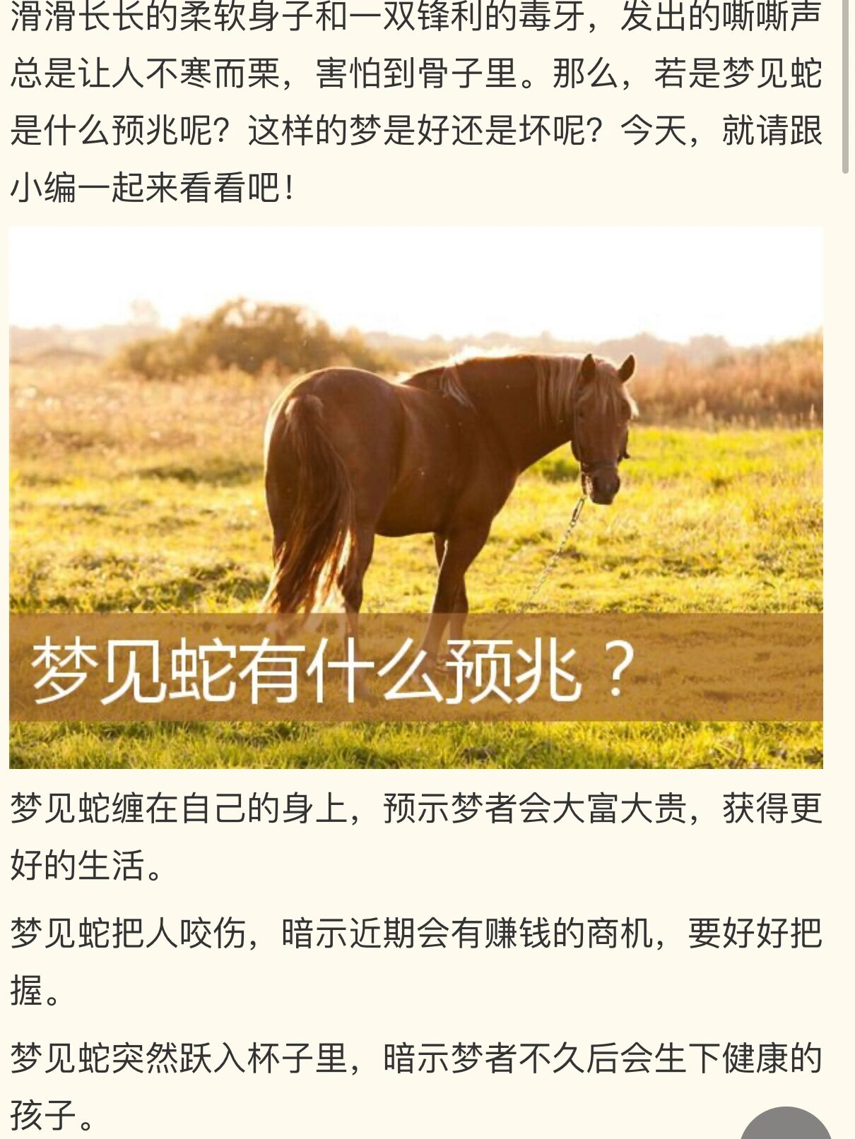 女人梦见钱,女人梦见钱被偷了是什么预兆