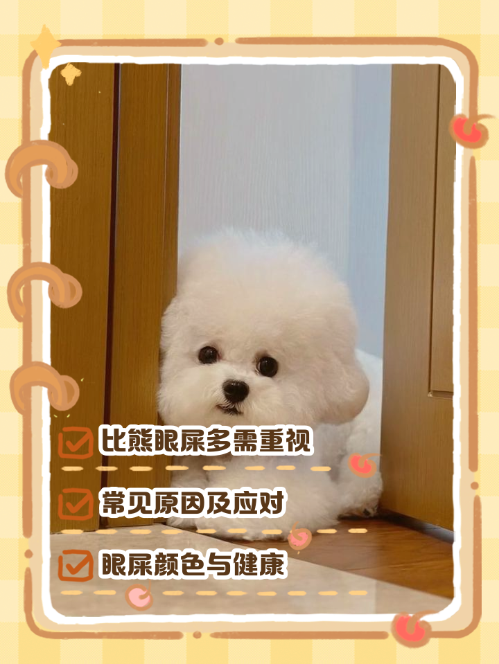 狗容易有眼屎是什么原因,狗容易有眼屎是什么原因呢