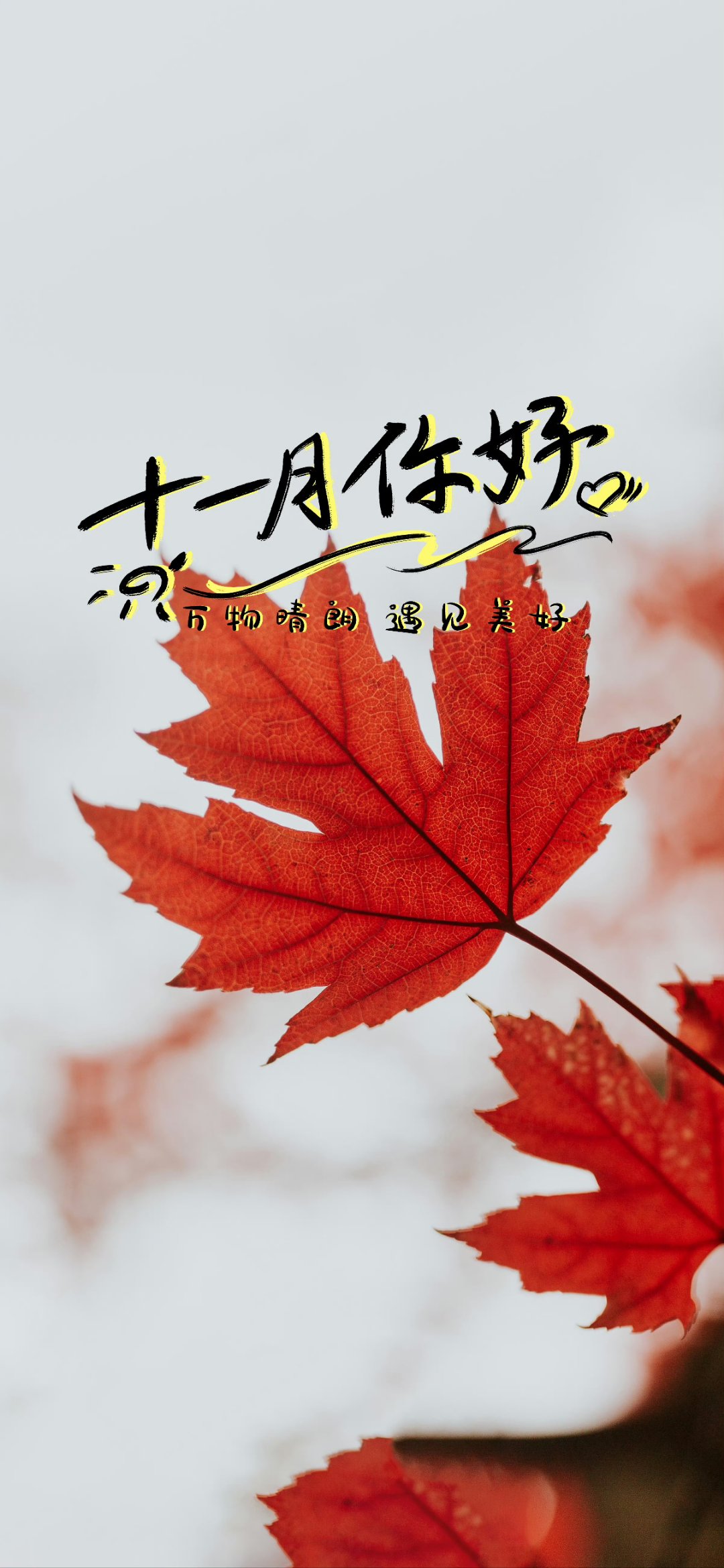 描写十一月的唯美句子,描写十一月的唯美句子简短
