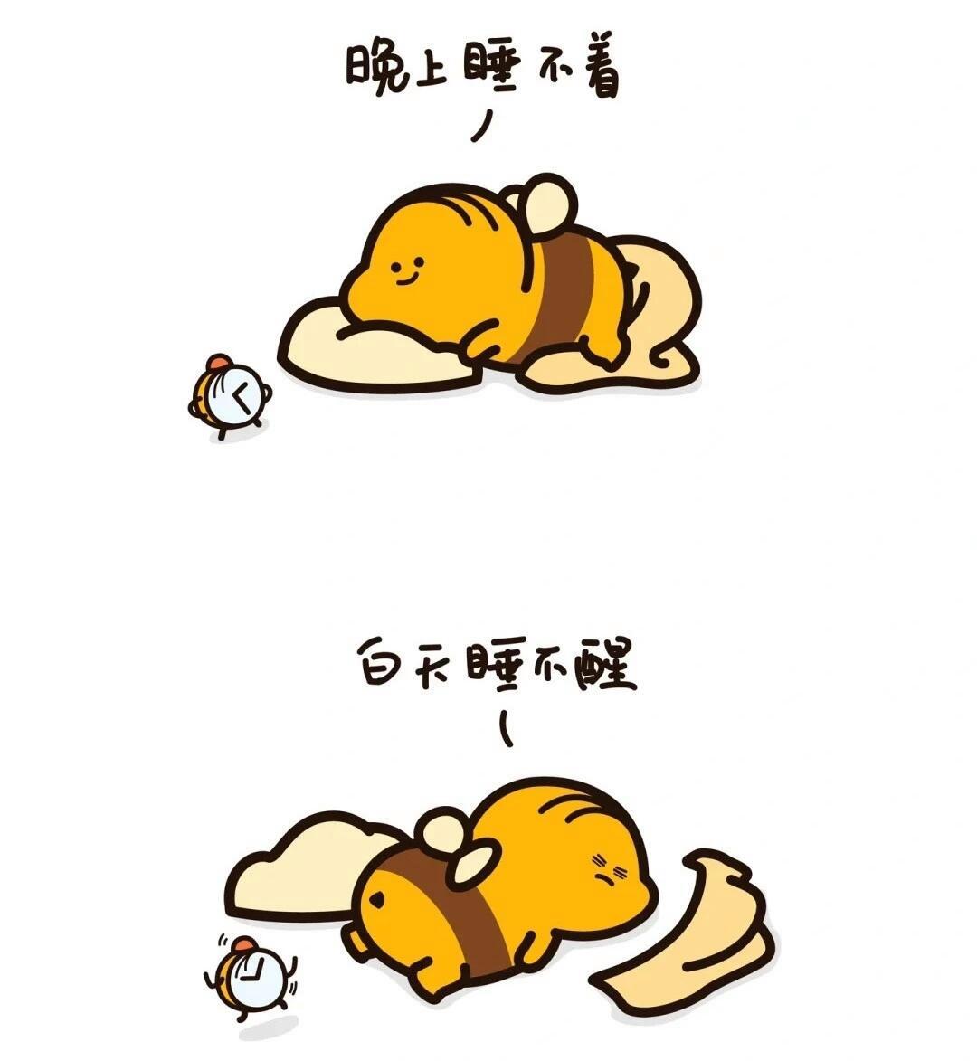 2345软件大全 第5页