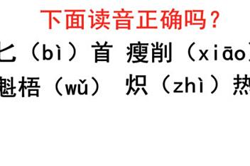 拼命读音是什么,拼命的拼音是
