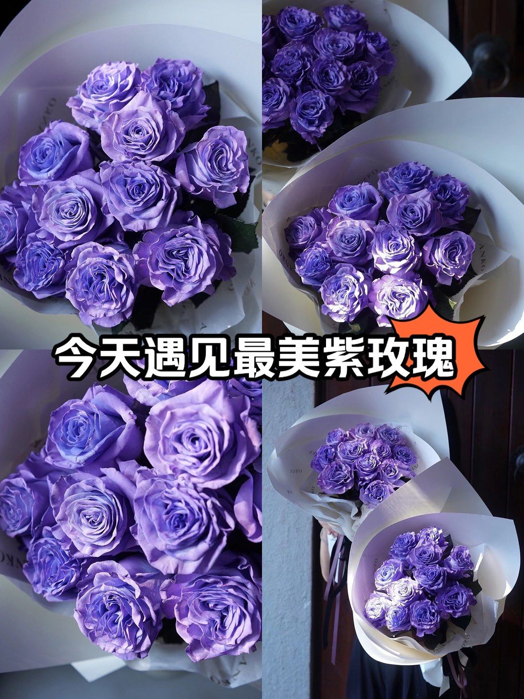 QQ音乐 第4页