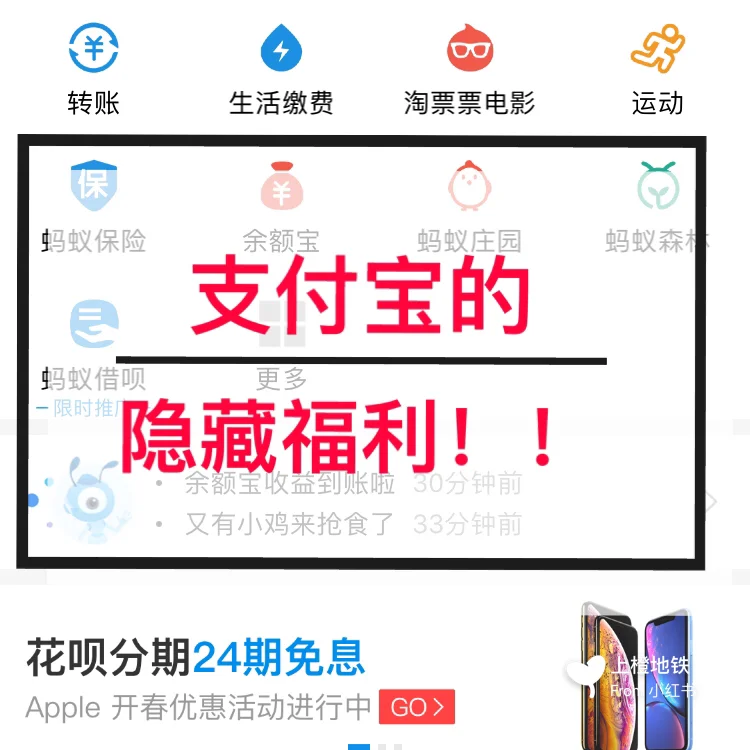 支付宝惠支付在哪里网,支付宝的惠支付有什么用