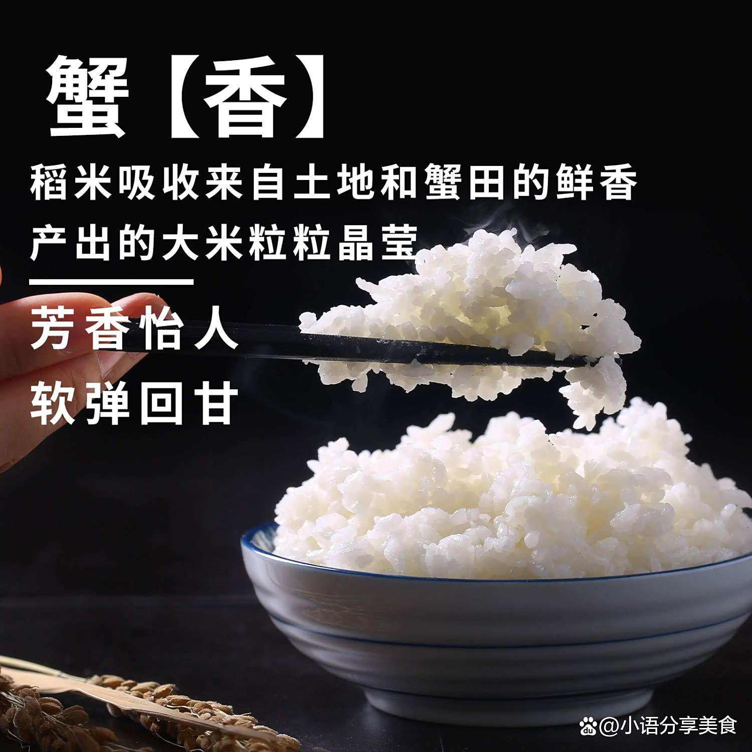 大米和粳米的的区别,大米和粳米营养一样吗