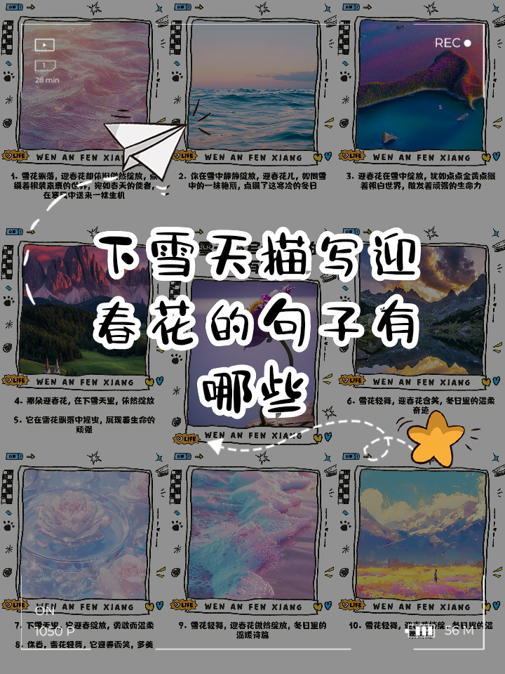 描写迎春花的优美句子有哪些,描写迎春花的优美句子有哪些三年级
