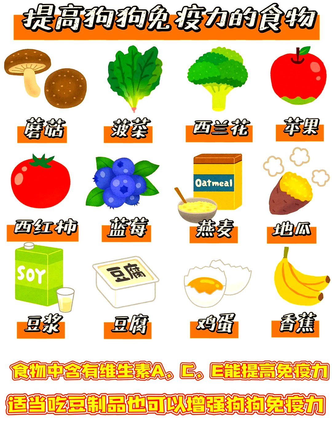 狗吃什么好有营养,狗吃什么便宜又营养