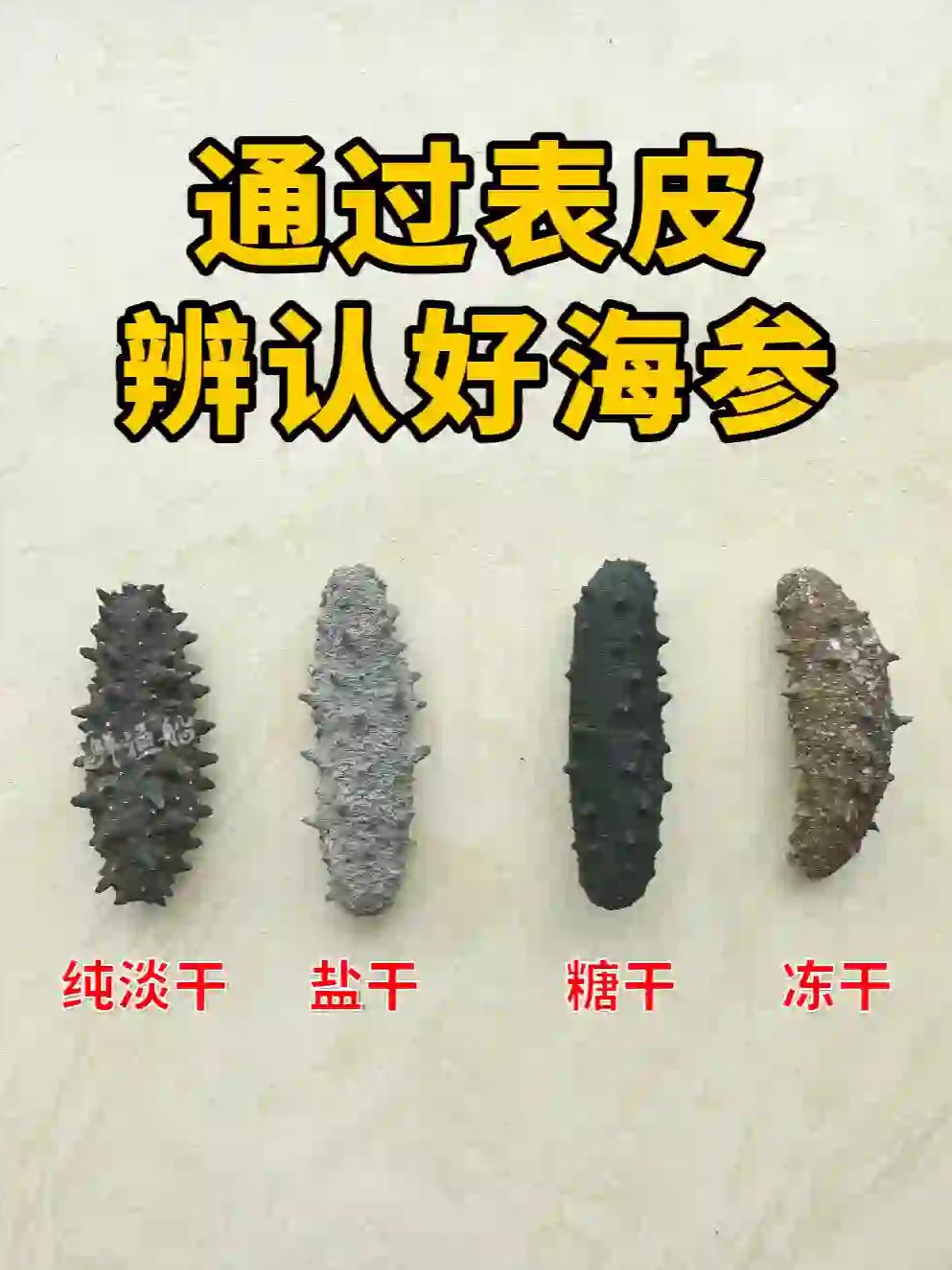 半干海参和淡干海参哪个好,半干海参和淡干海参哪个好吃