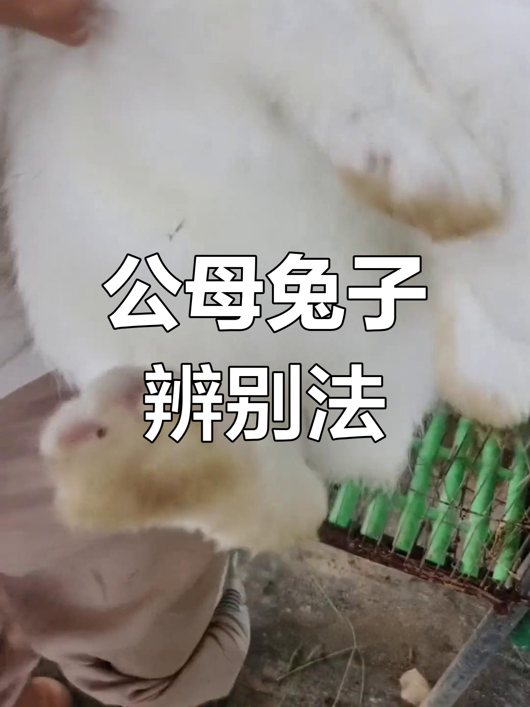 admin 第3页