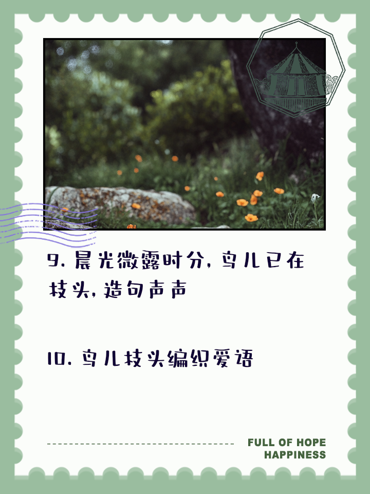 什么鸟儿是造句,什么鸟儿是什么填空
