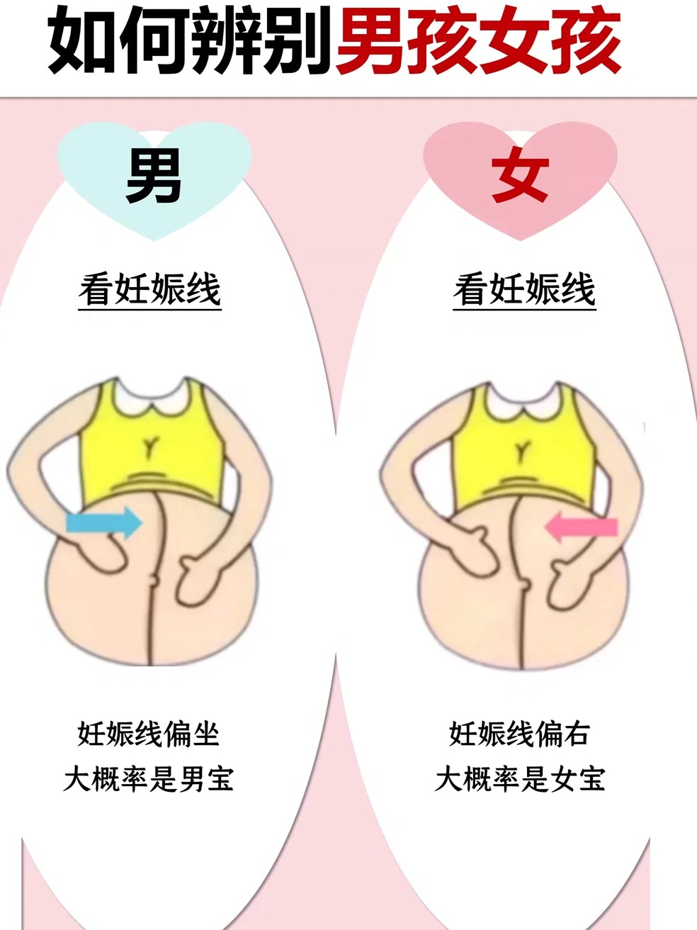 男和女有什么区别,男的和女的区别在哪里