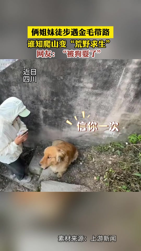 最新 第5页
