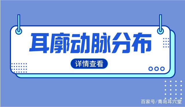 耳郭基础意思,耳郭是哪里 图片
