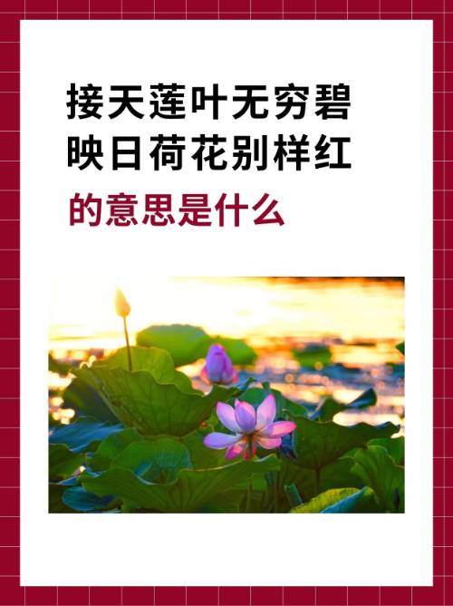 亭亭意思是什么,亭亭的解释意思是什么