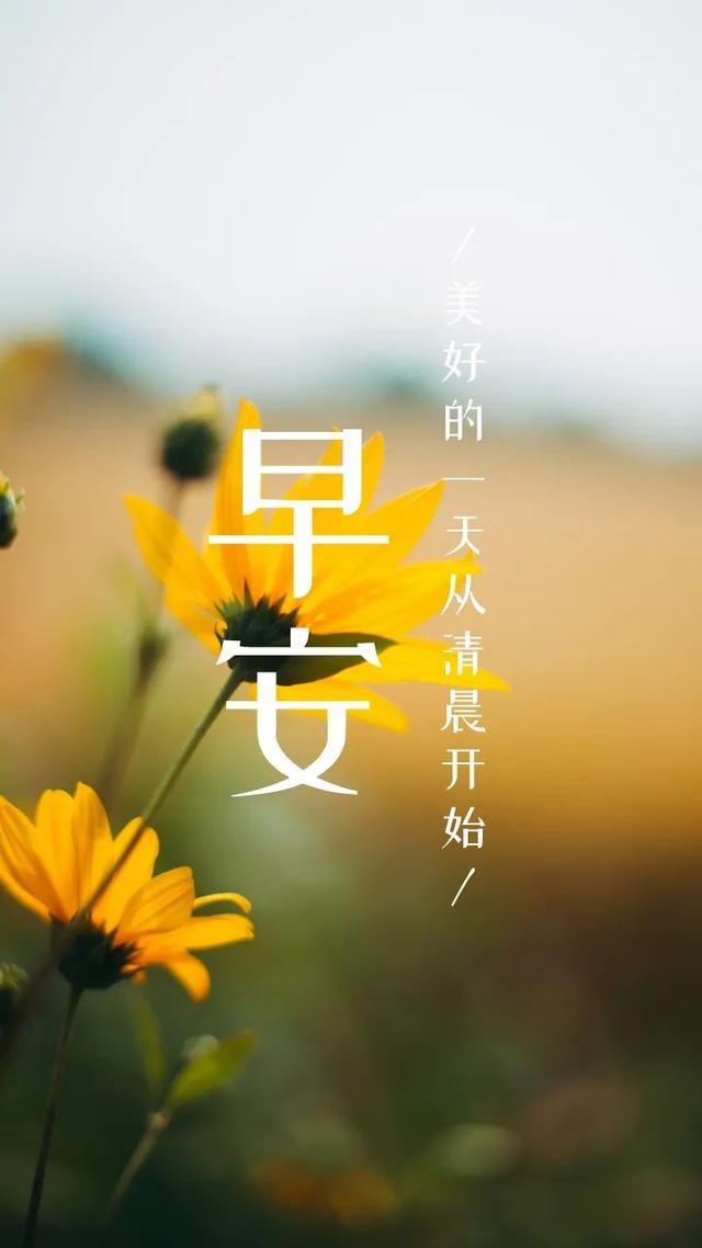 早上励志正能量句子,
