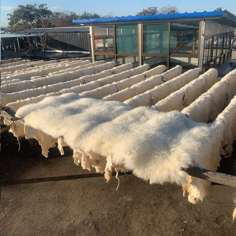 褥羊毛什么意思,褥羊毛是怎么回事