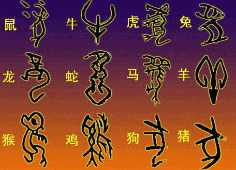 甲骨文是怎么被发现的