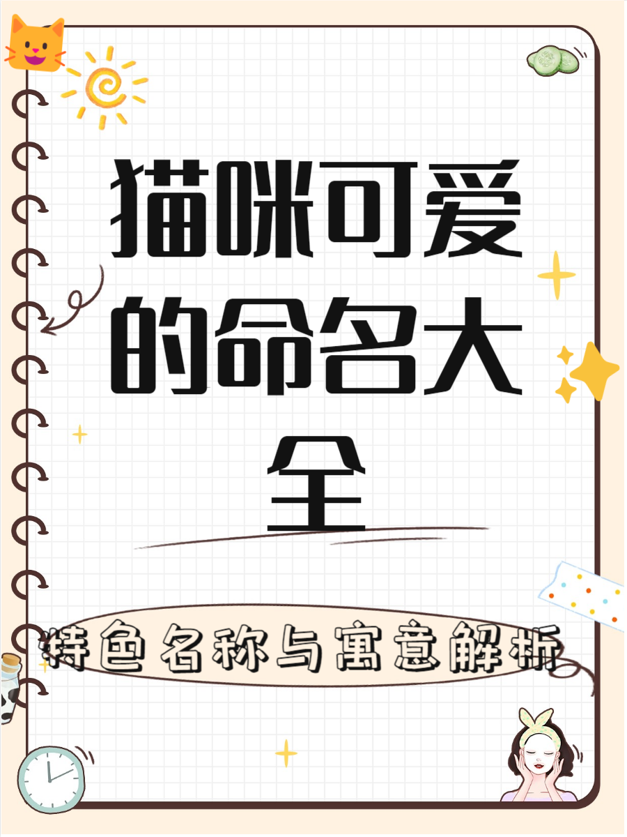 母猫咪取什么名字好听