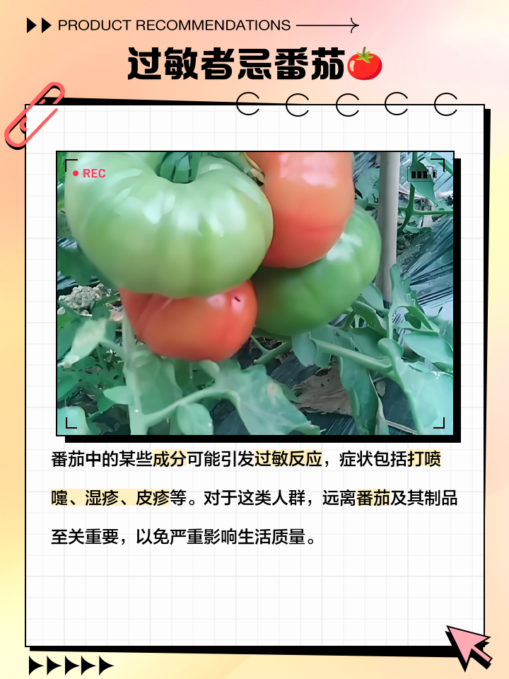 西红柿与什么食物相克