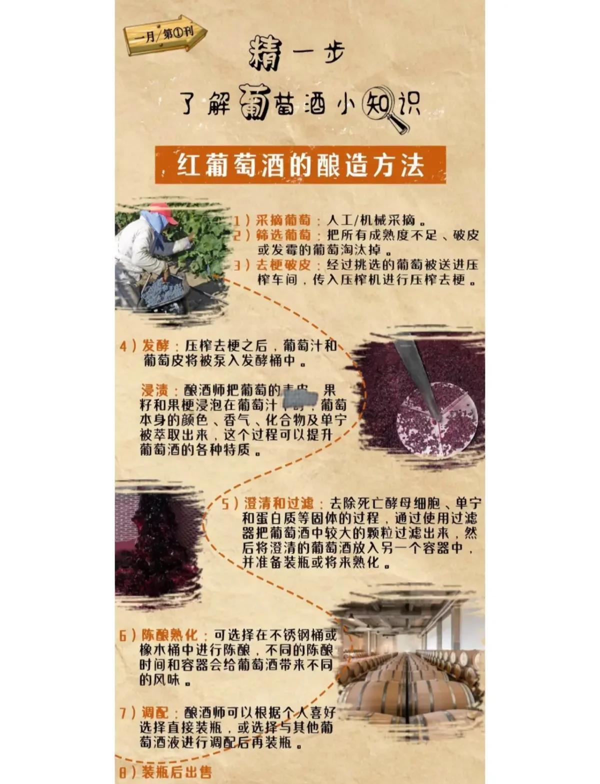 如何制造葡萄酒