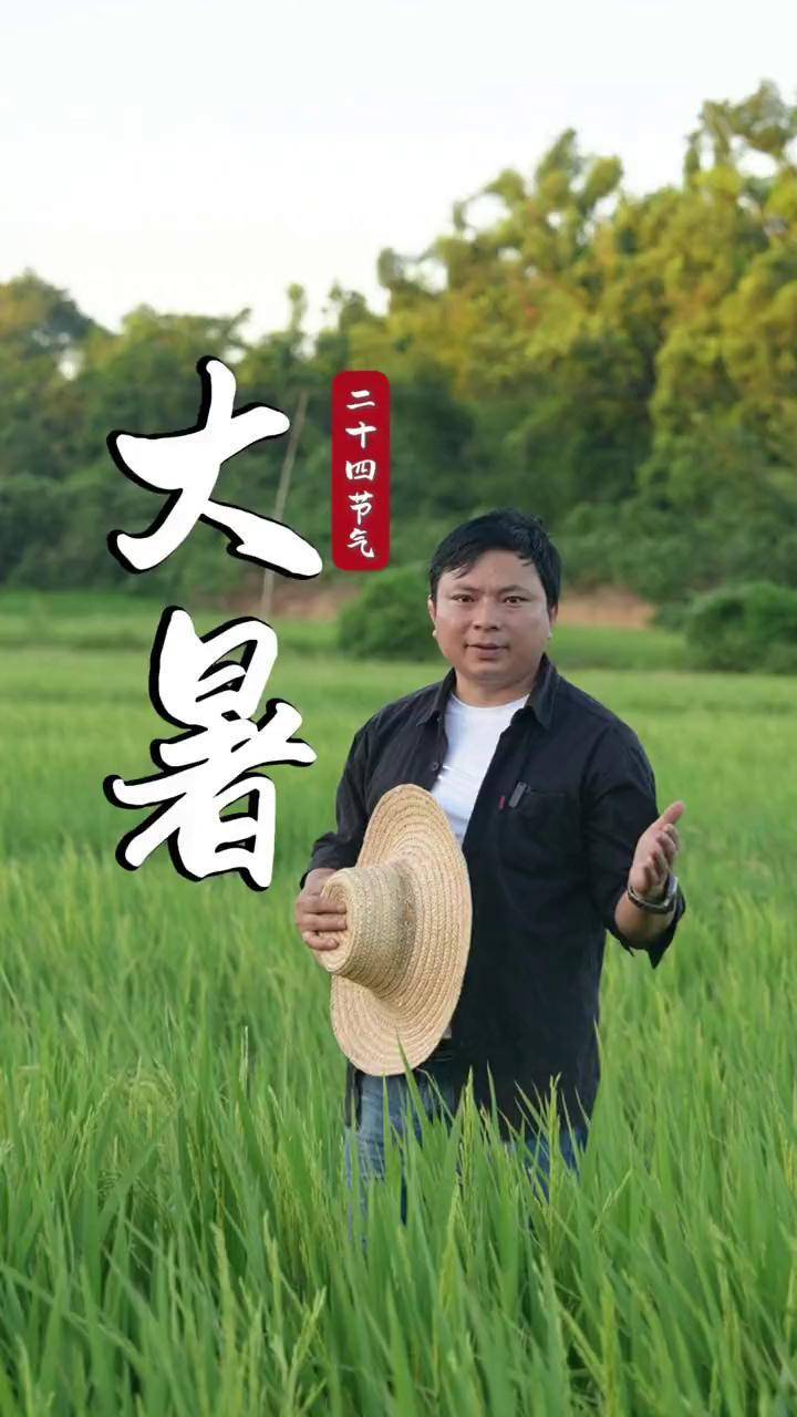 大暑是几伏天