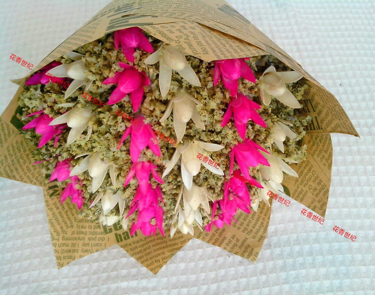 肥皂花会坏吗可以放多久,肥皂花会坏吗可以放多久啊