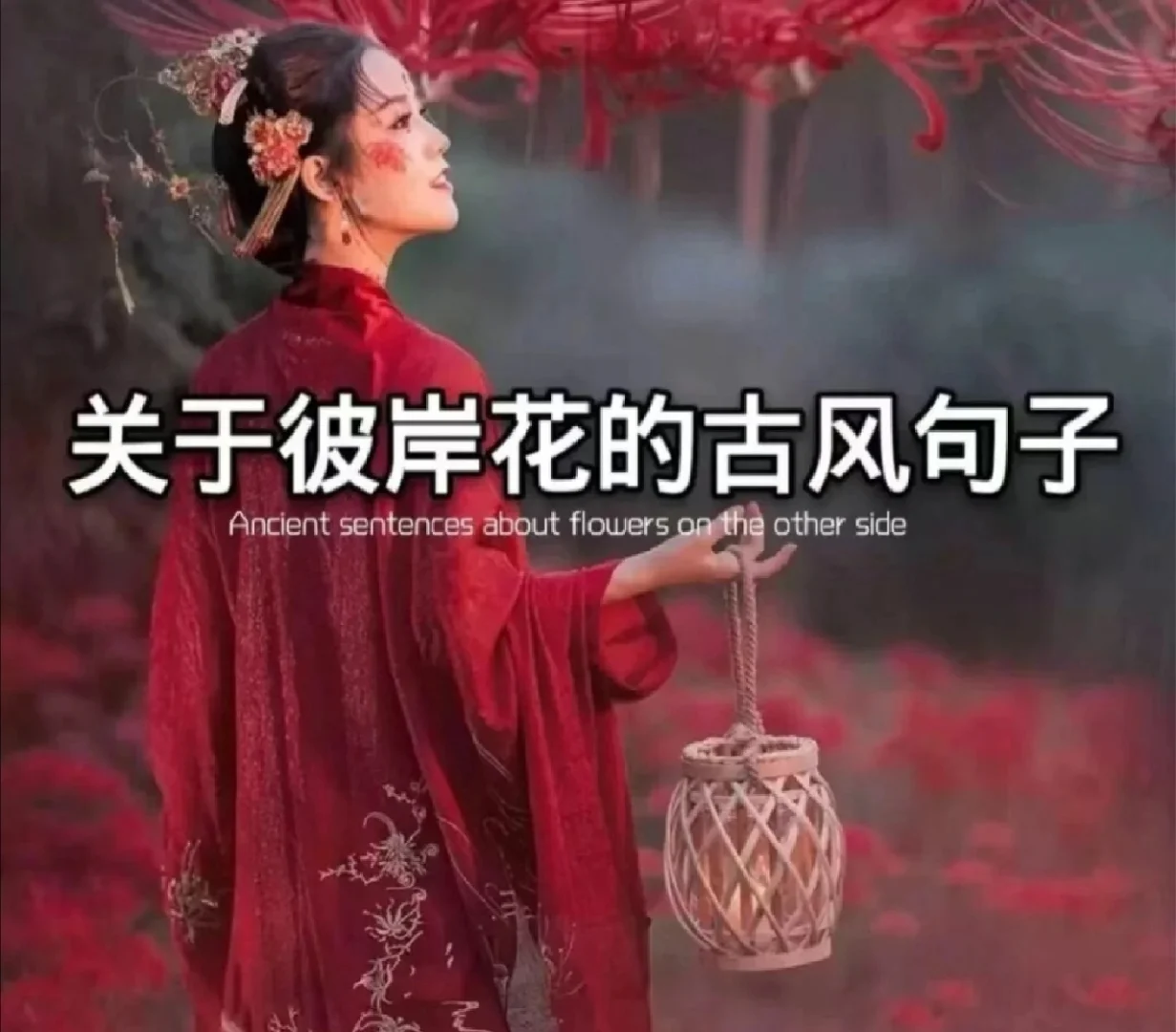 2025年9月22日 第33页