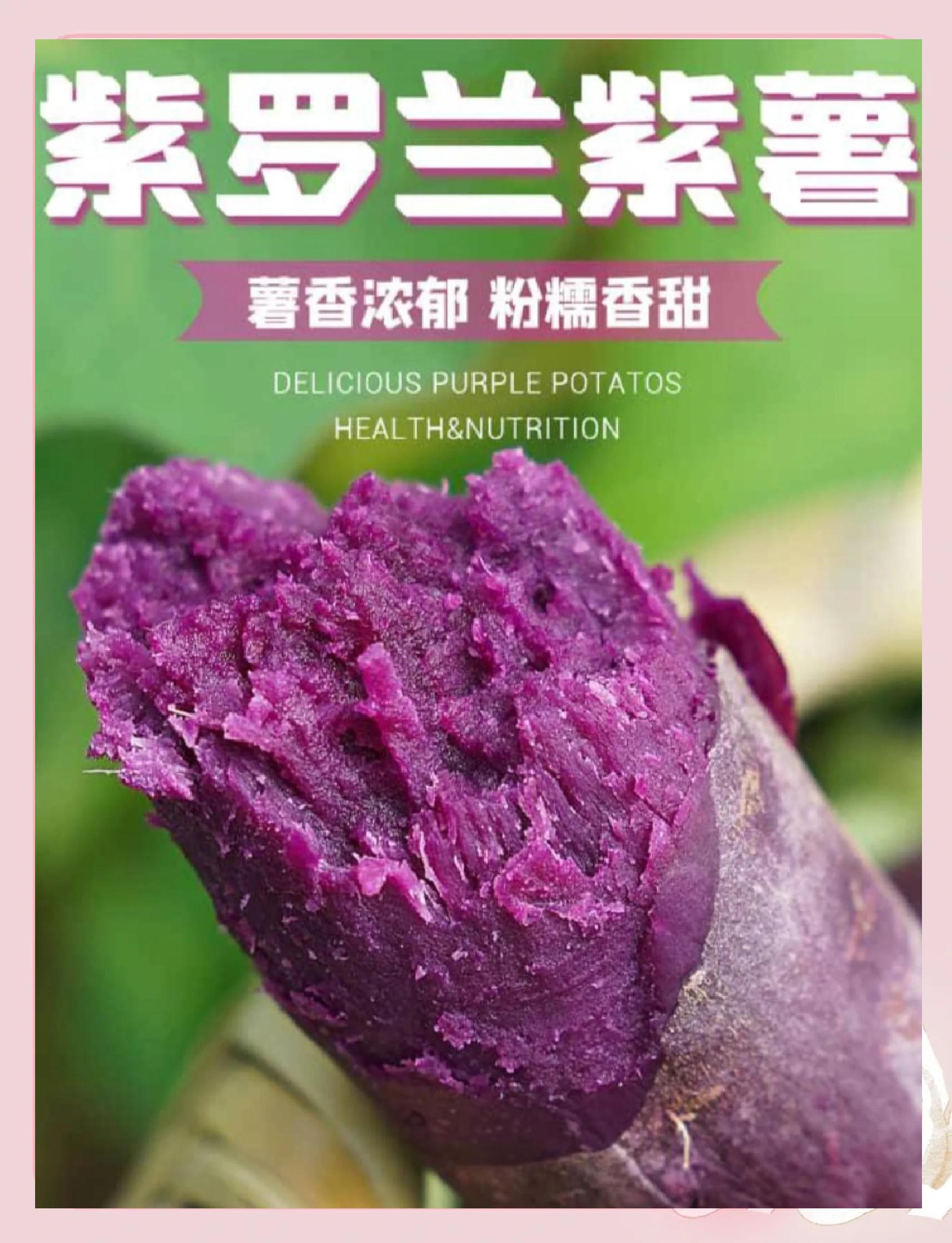 紫罗兰的功效与作用,紫罗兰的功效与作用是什么