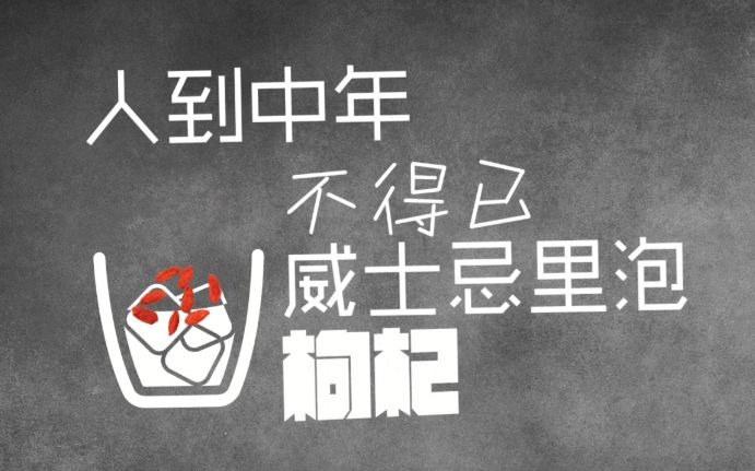 人到中年不得已保温杯里泡枸杞的意思