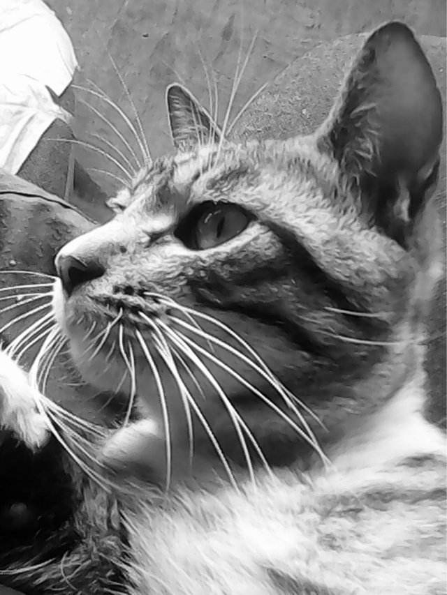 2025年9月22日 第8页