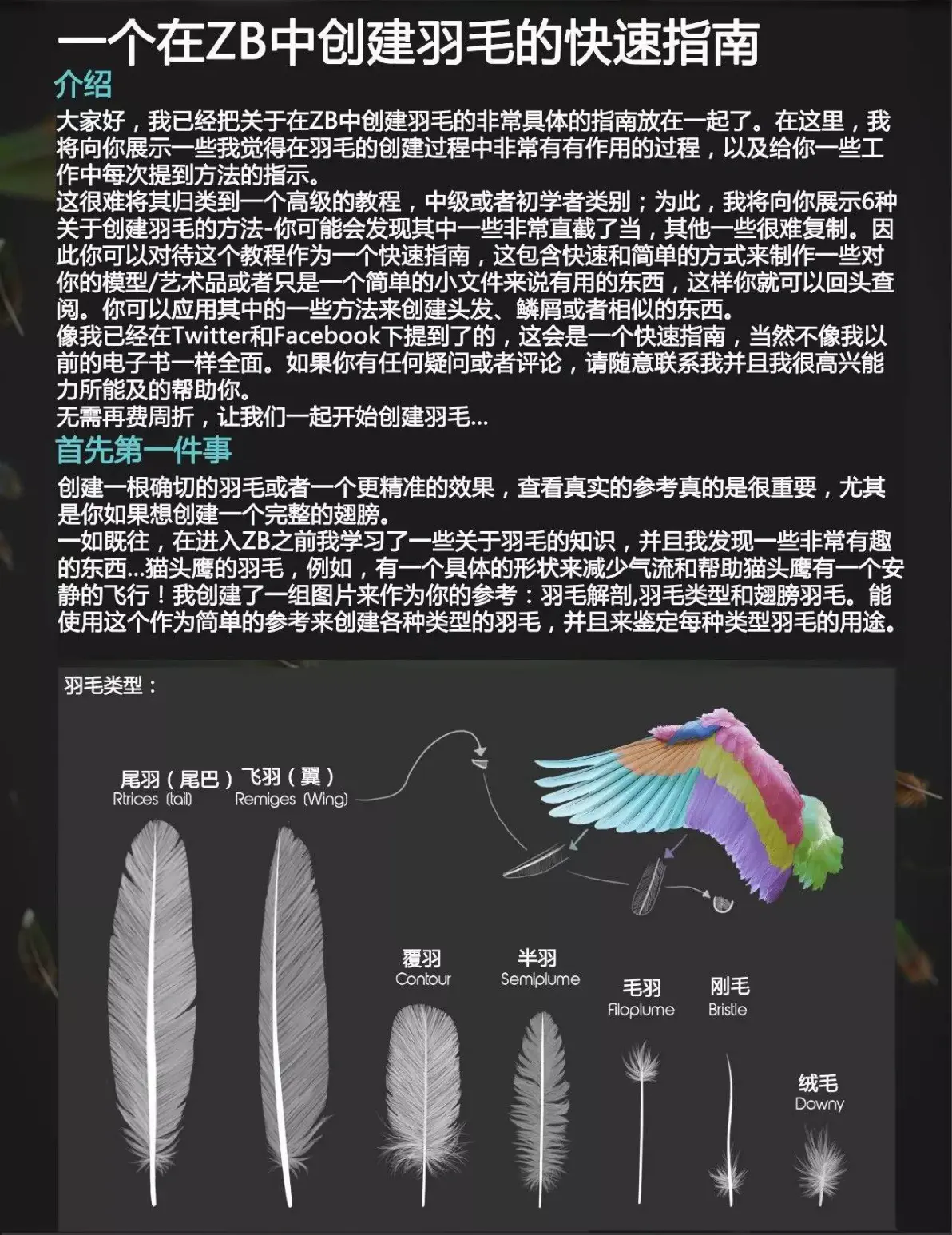 羽毛怎么念