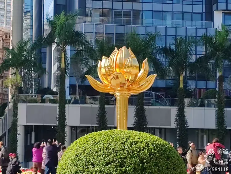 澳门区旗上的花是什么,澳门区旗有什么象征意义?