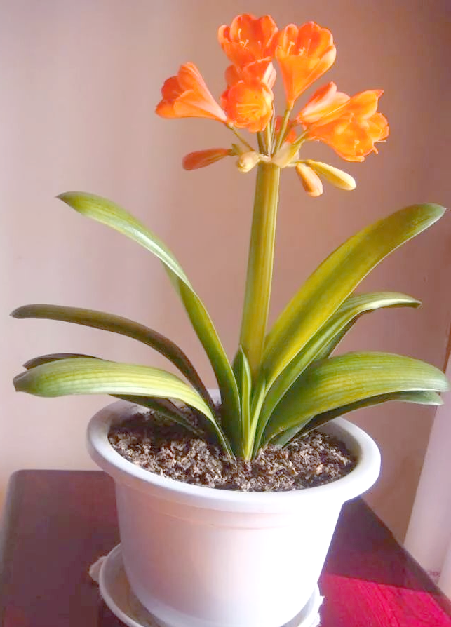 2025年9月23日 第21页