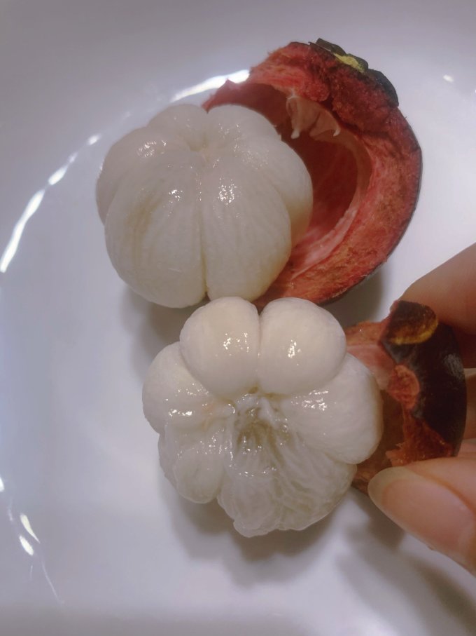 山竹玻璃心是什么原因