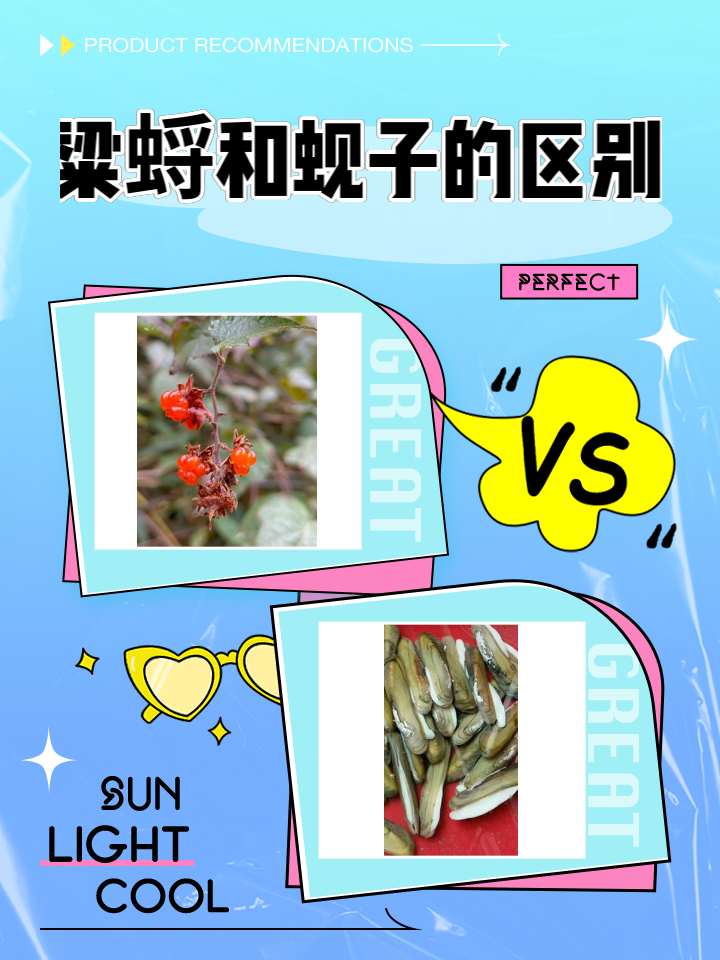 舢舨的含义