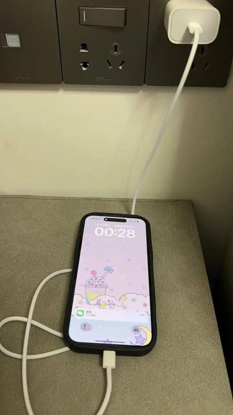 为什么苹果手机充电充不进去