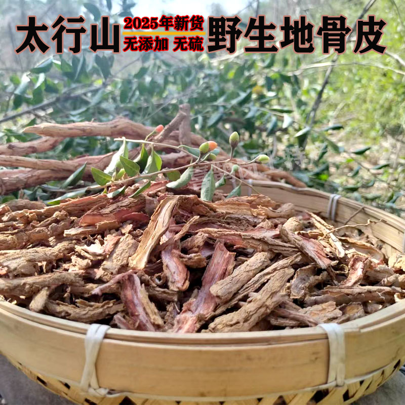 枸杞根的功效与作用,中药枸杞根的功效与作用