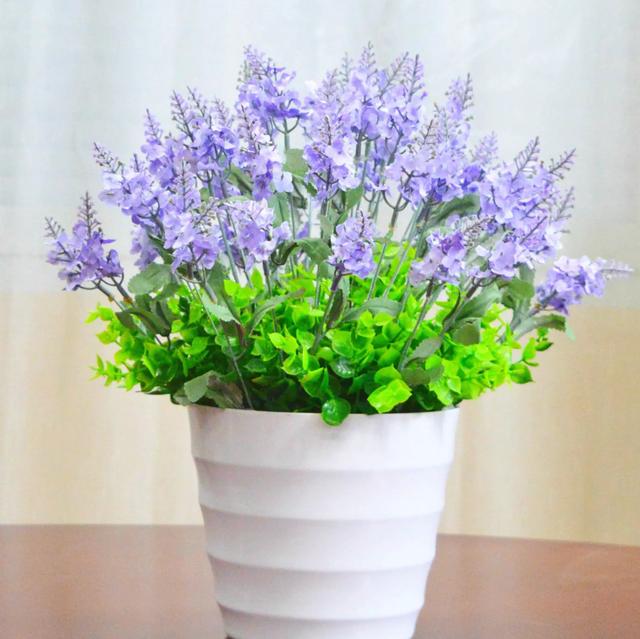 卧室摆什么花最旺,卧室里摆什么花好看