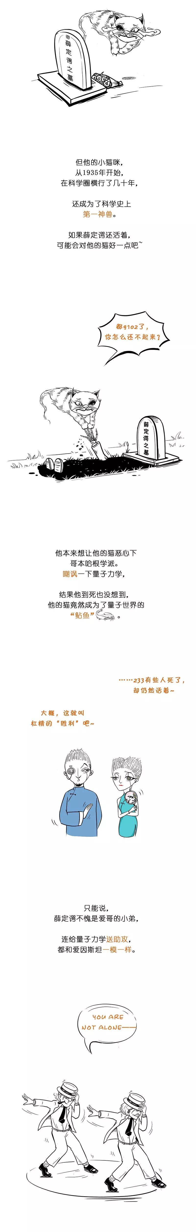 薛定谔的猫是什么意思,薛定谔的猫是什么意思 知乎文章