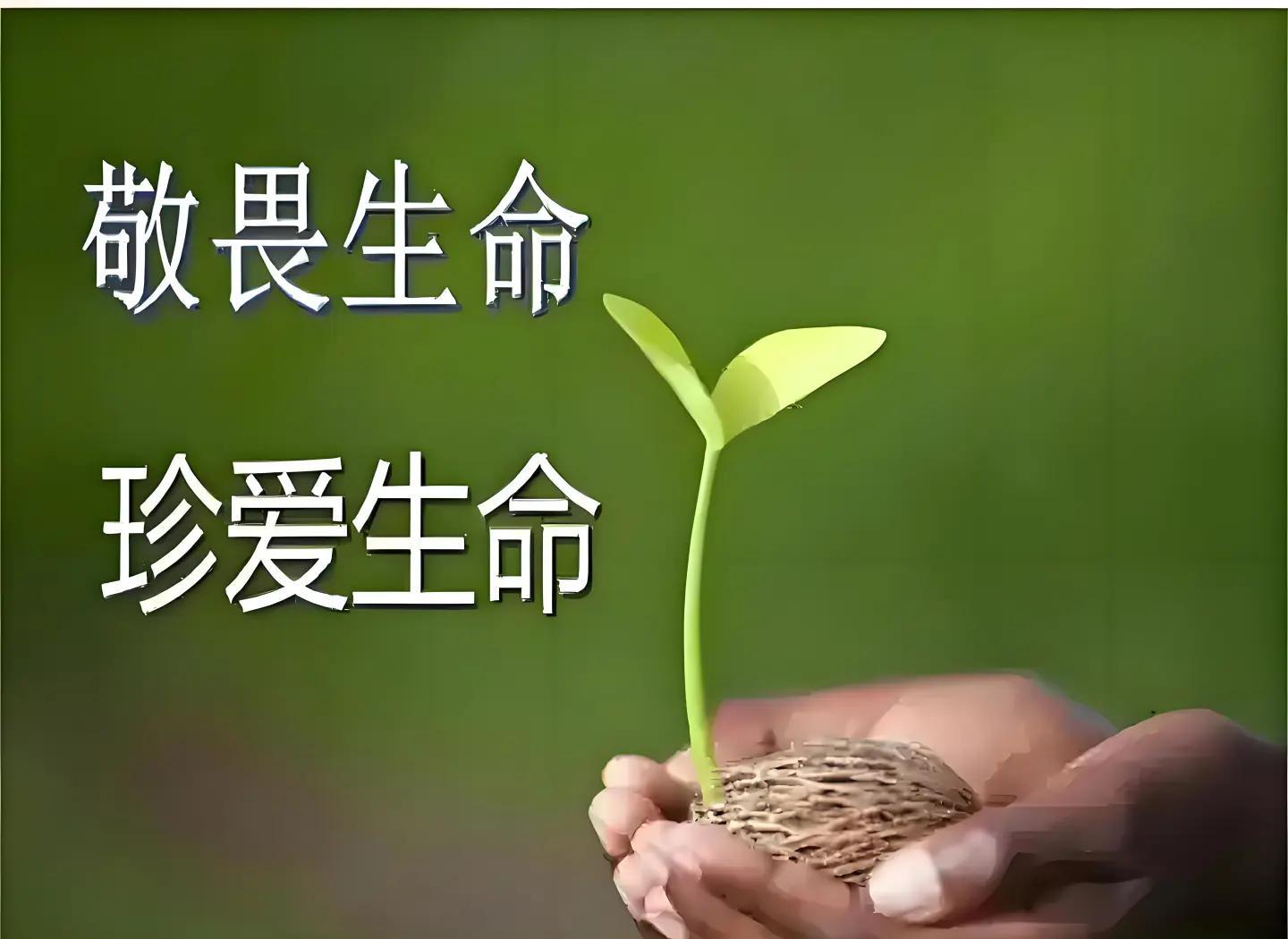 敬畏自然是什么意思啊,敬畏自然是什么意思啊网络用语