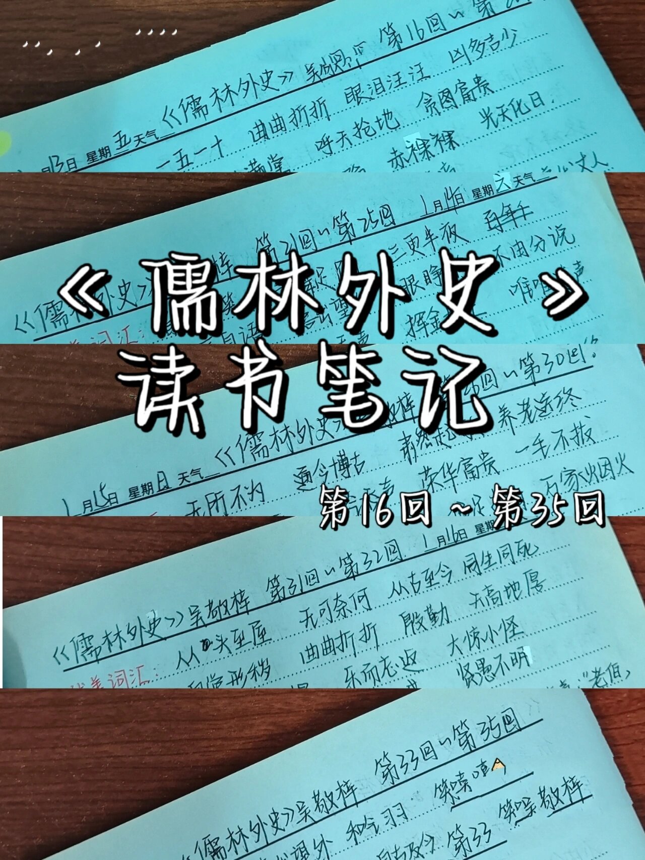 儒林外史读书笔记摘抄加赏析,儒林外史读书笔记段落摘抄及感悟