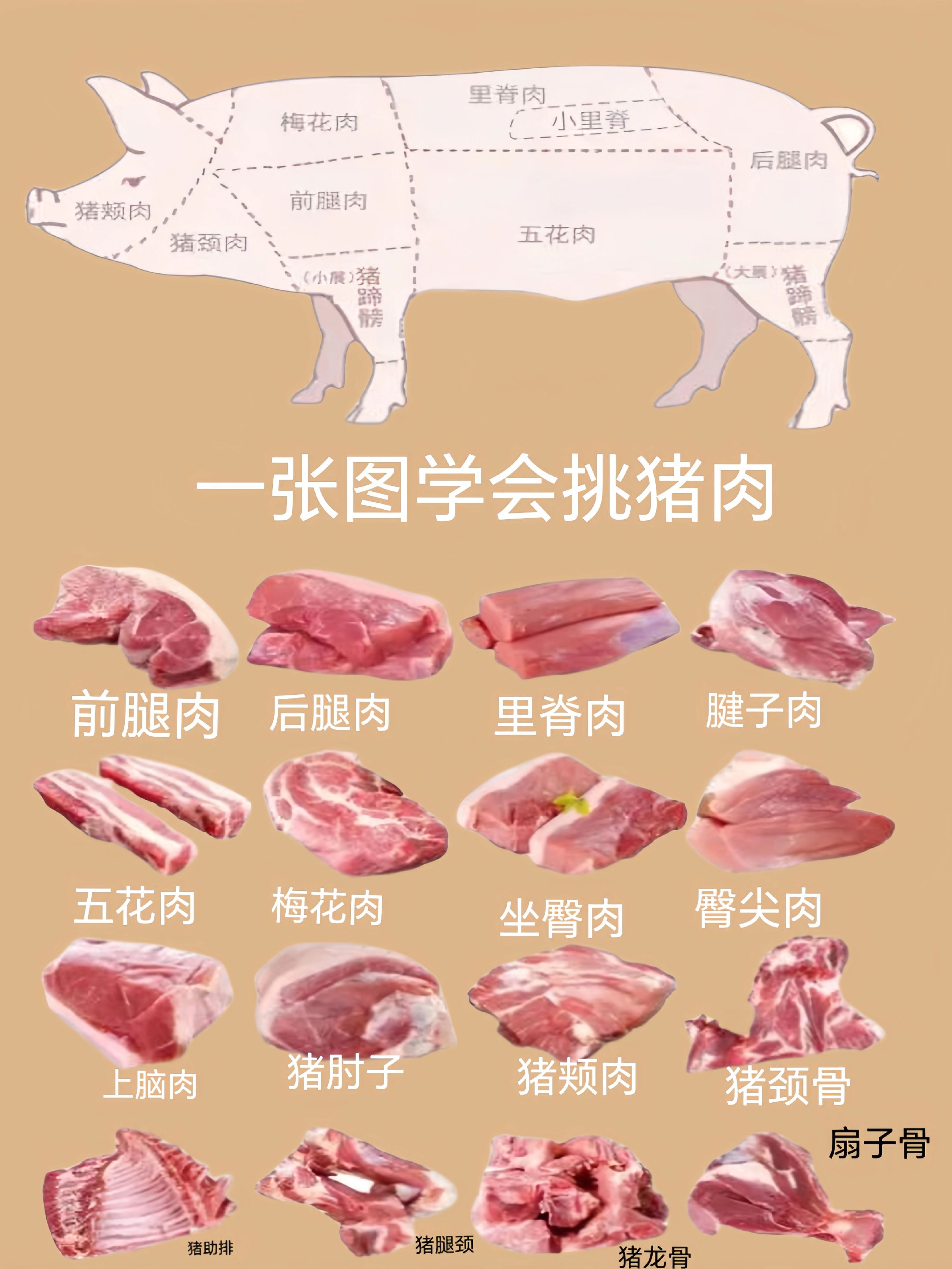 猪肉吃安全吗,猪肉吃安全吗会致癌吗