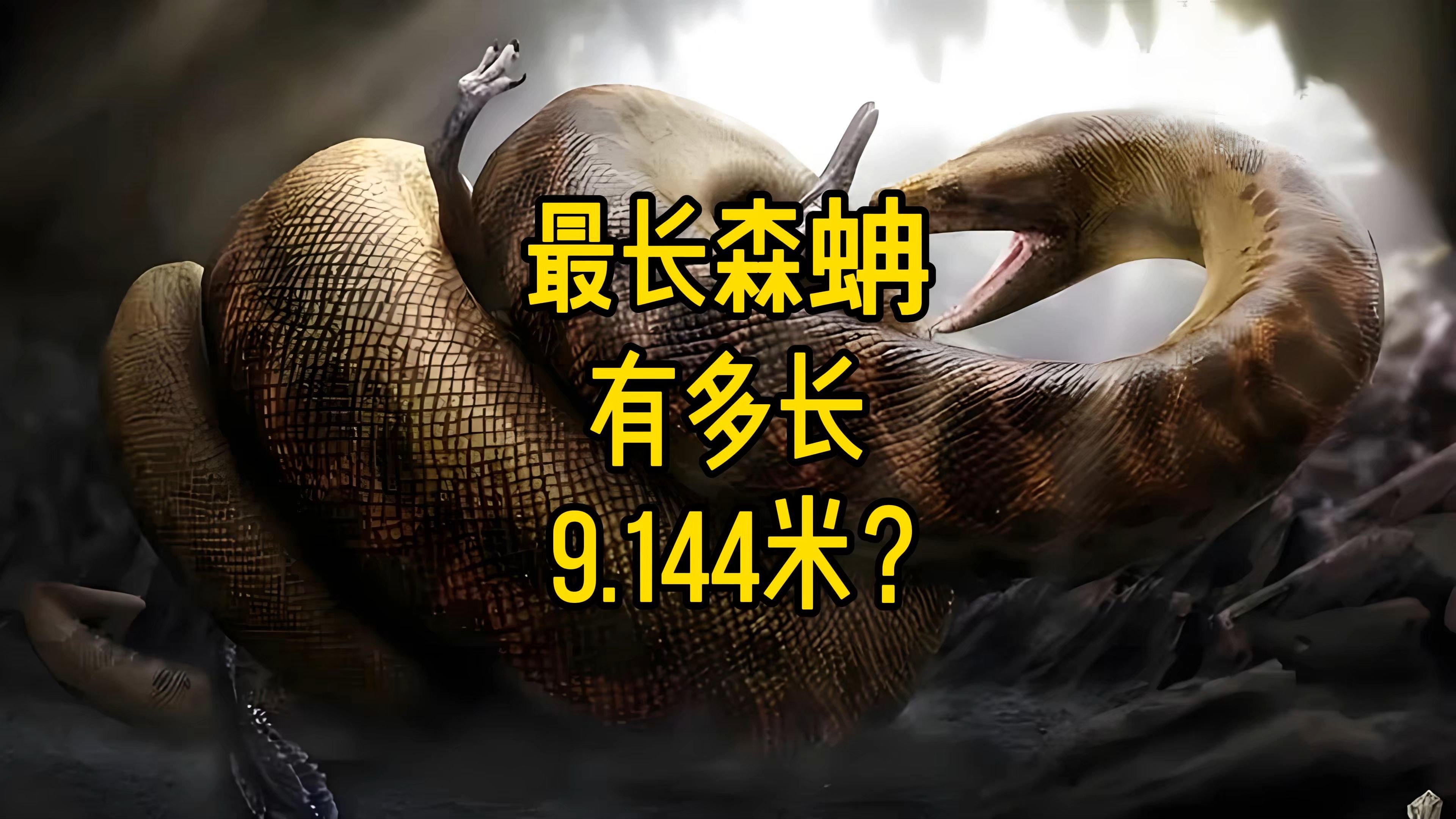 亚马逊森蚺的饲养知识,嘟拉教育百科亚马逊森蚺