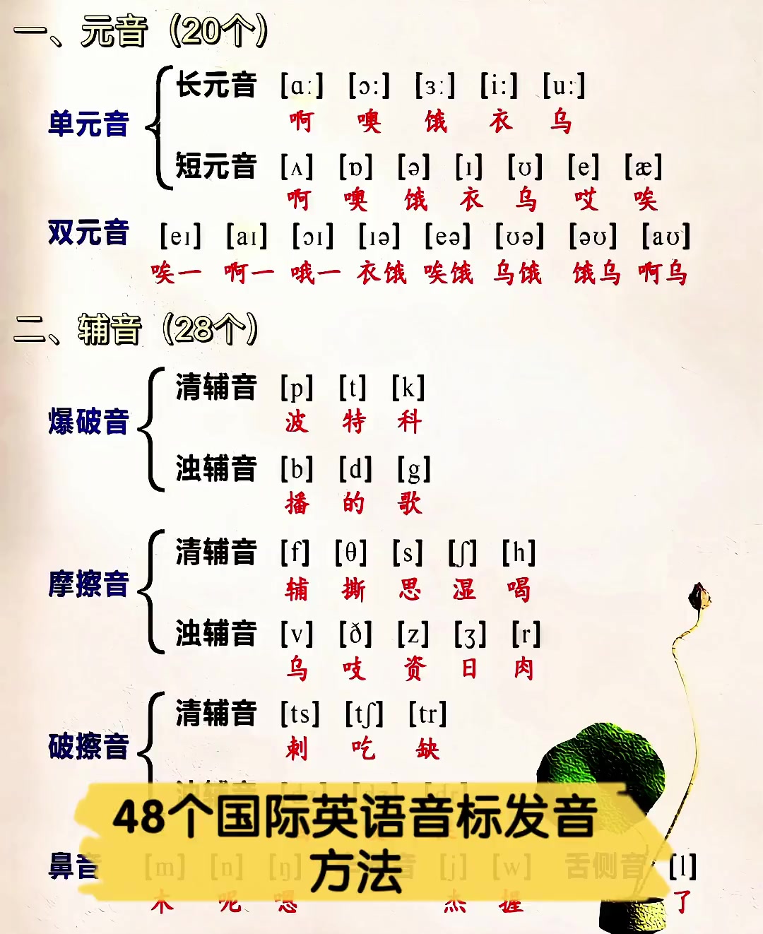 48个英语音标发音表,48个英语音标发音表对照表