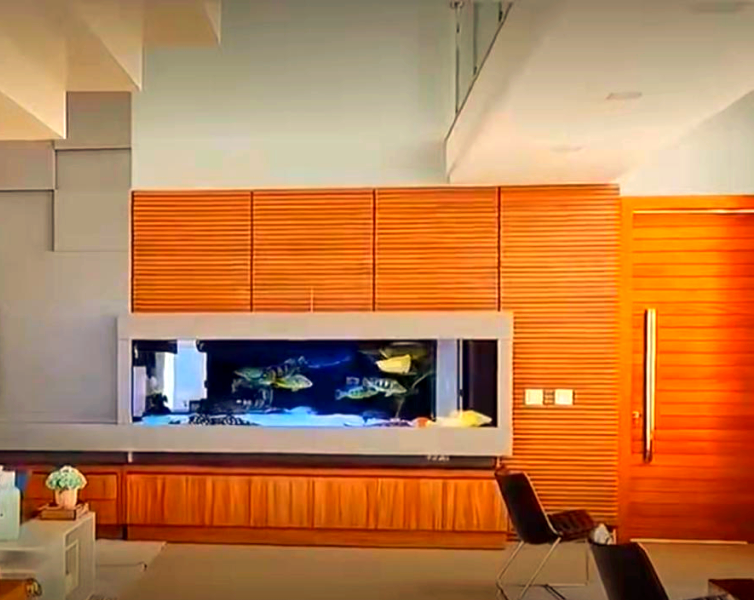 鱼缸放在客厅什么位置最好,属虎鱼缸放在客厅什么位置最好