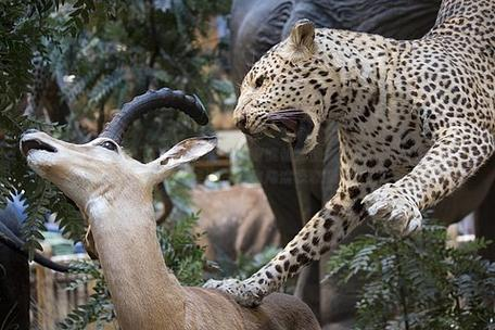 2025年9月28日 第17页