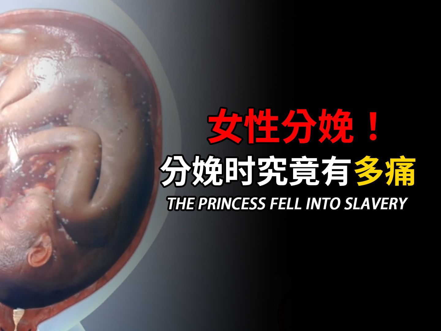 2025年9月28日 第3页