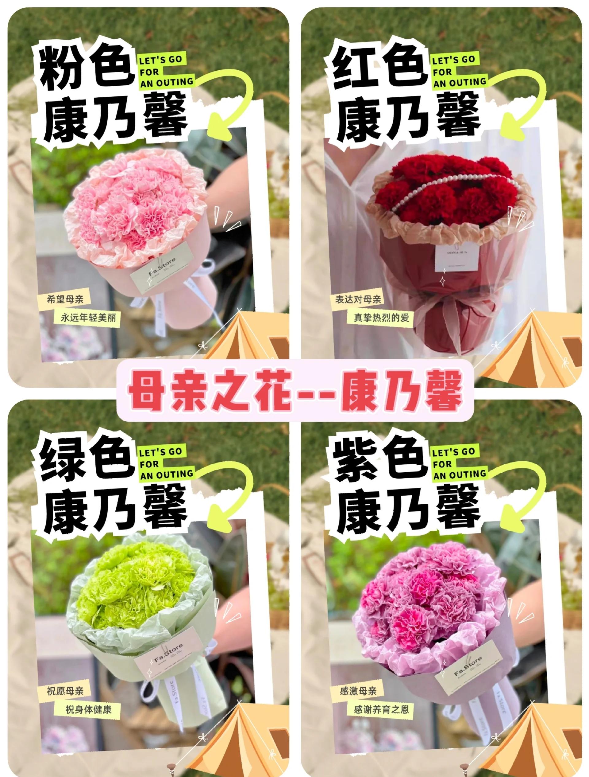 康乃馨有什么颜色分别代表着什么,