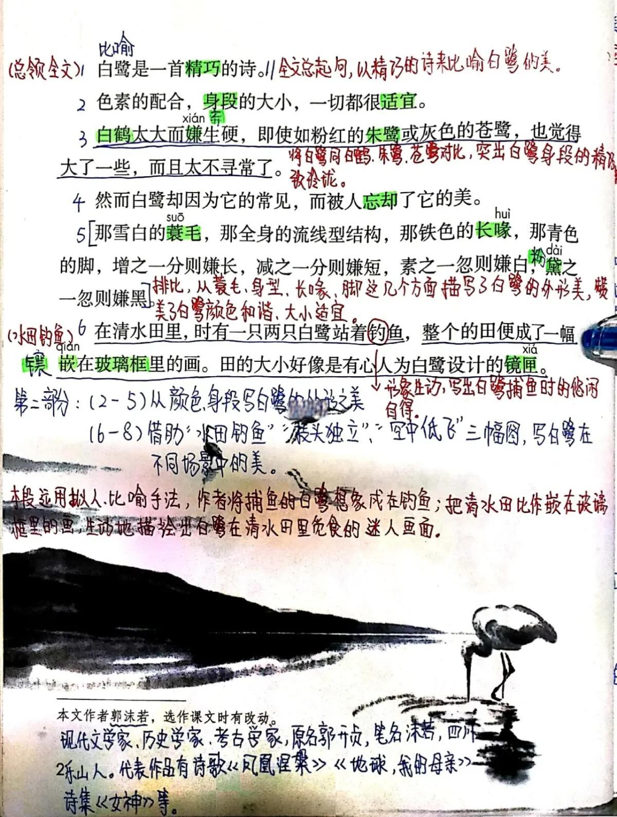 鹭的拼音以及解释,鹭的拼音是什么样的